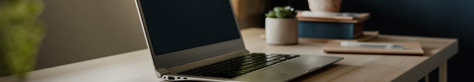 Laptop on desk and plants.